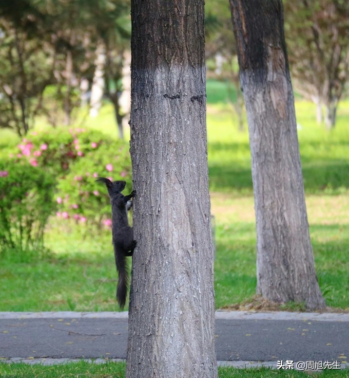 盛京3天深度自驾游好去处推荐,盛京游记