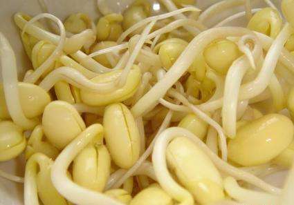 乡情散文田野情怀,春念乡情散文