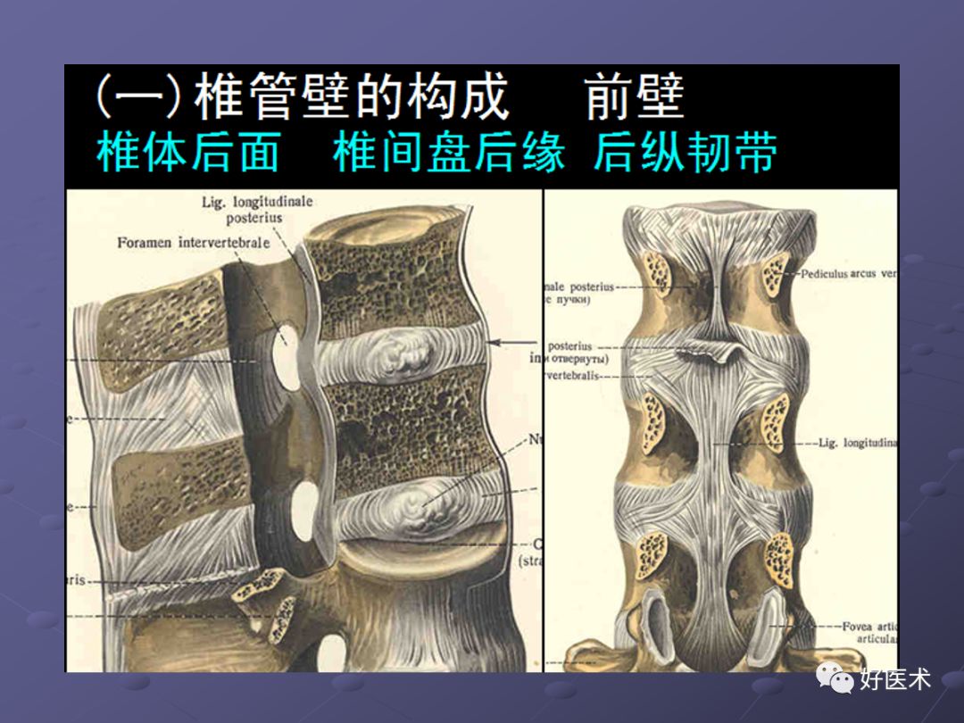 脊柱mri有哪些特点,乳腺疾病的mri诊断及鉴别
