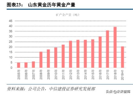 山东黄金产业龙头股,山东黄金板块走势最新分析
