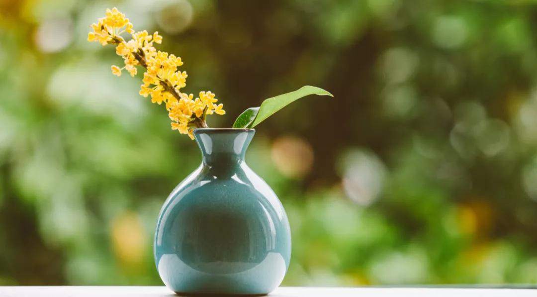 这些新疗法或将有效延长卵巢癌患者的生存期，带来新希望