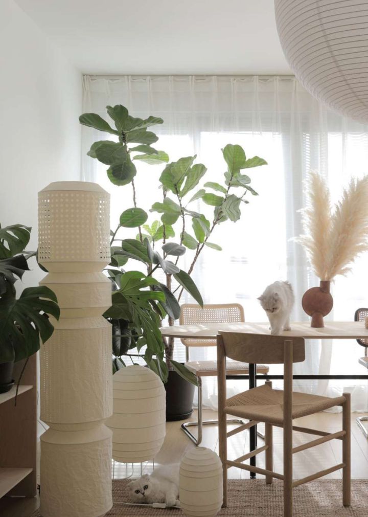 家庭灯光怎样布置才显高级,装修小技巧让灯光改变家庭气氛