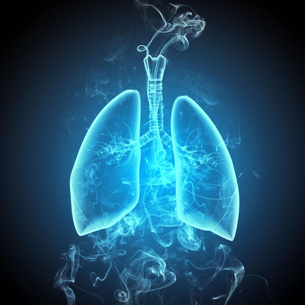 宝宝得重症联合免疫缺陷病的几率,原发性免疫缺陷是遗传病吗