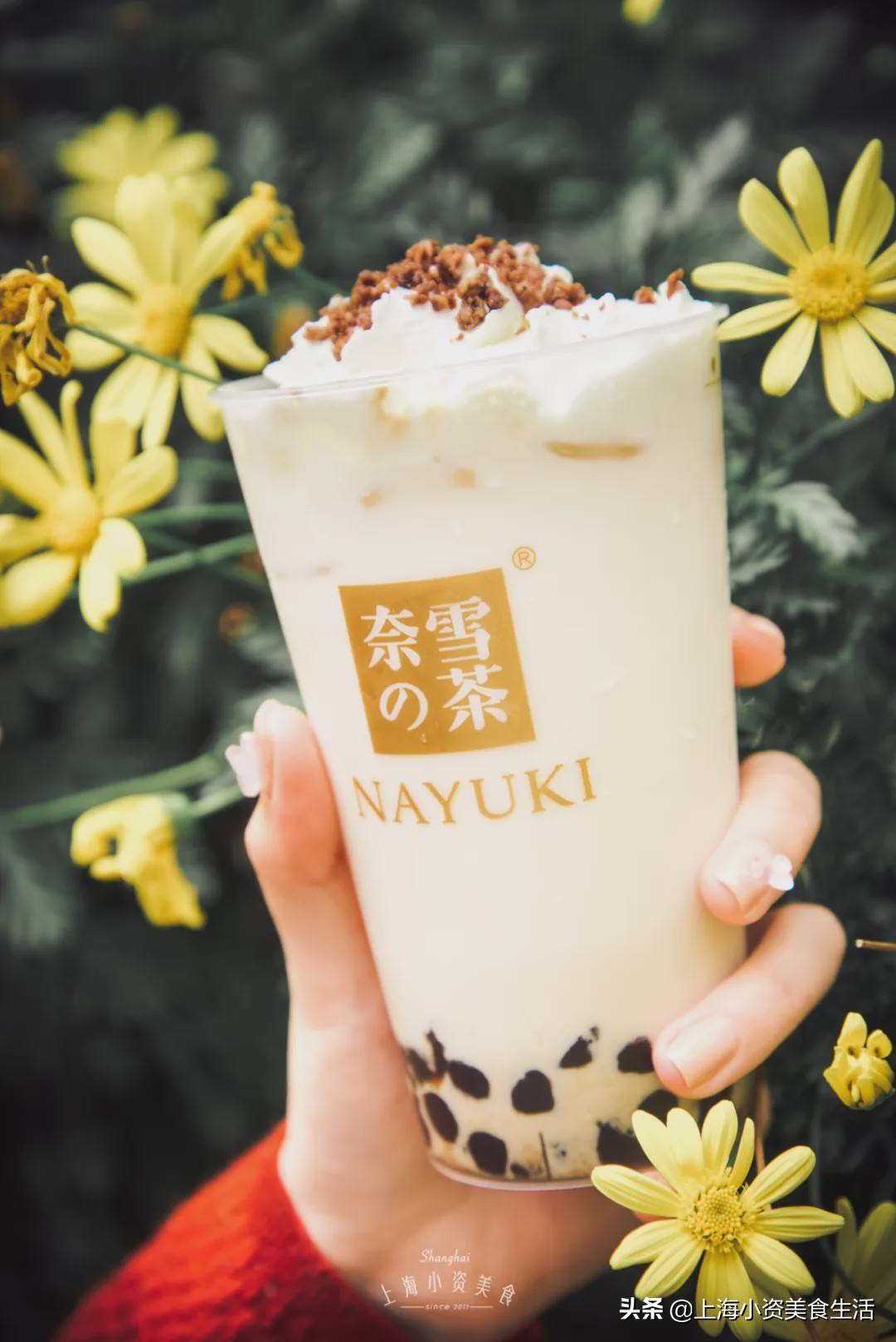 奶茶网红牛乳茶,奶茶各种网红饮品