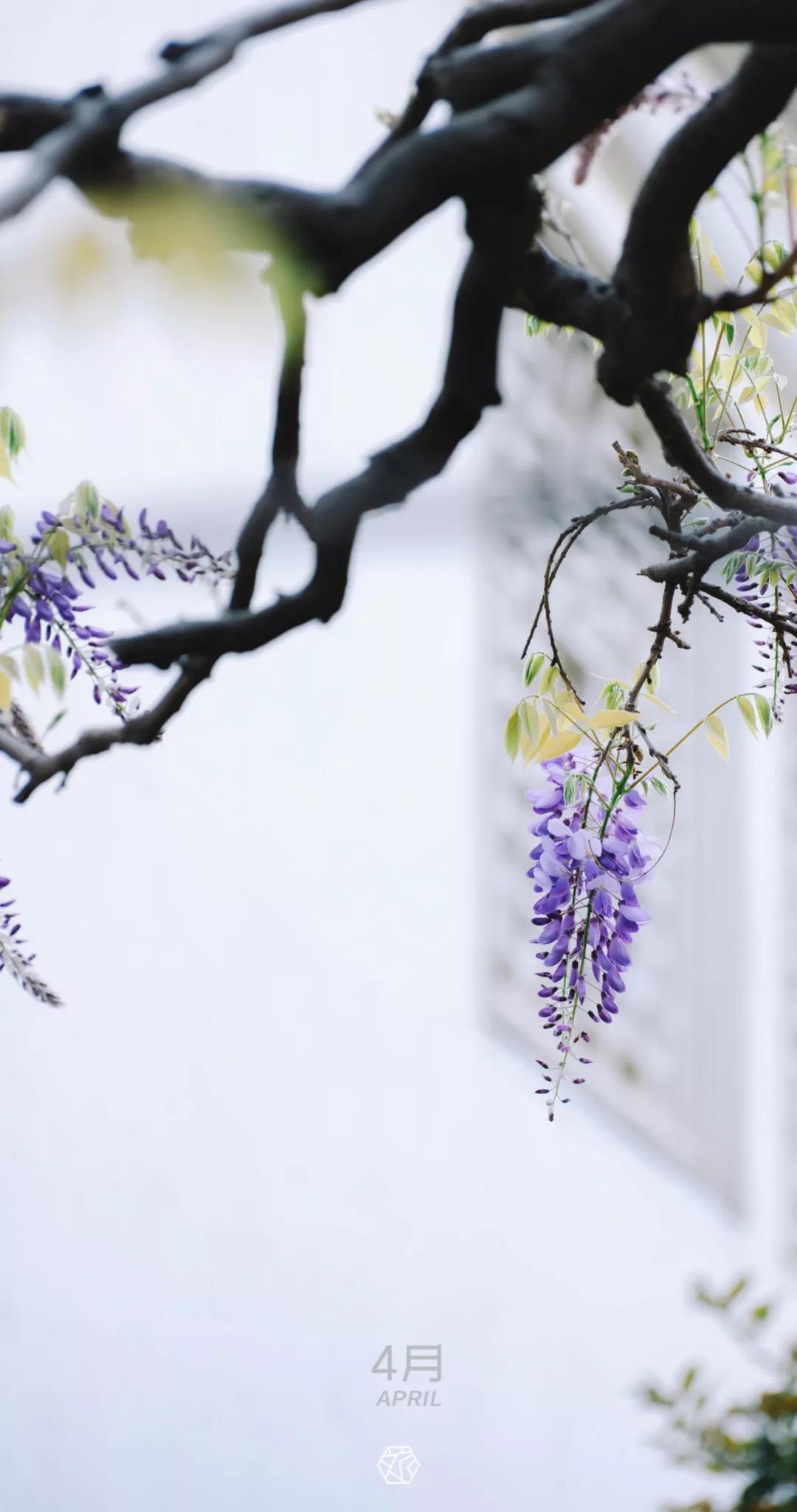 新年横屏壁纸2023超高清壁纸,苏州壁纸横屏