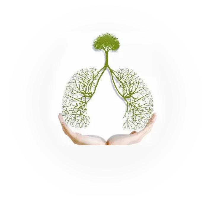 2024年世界防治结核病日的主题,3.24世界防治结核病日试题