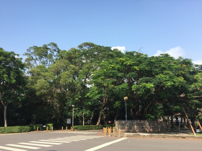 台湾环岛15天自由行攻略,台湾自由行环岛14天攻略