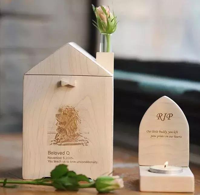 宠物经济正当时：有人喊爱宠儿子女儿，有人花数万买巴掌大墓地