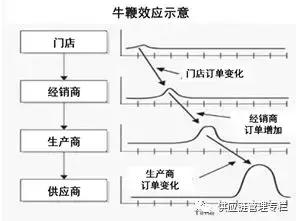供应链中牛鞭效应的理解,供应链中的牛鞭效应