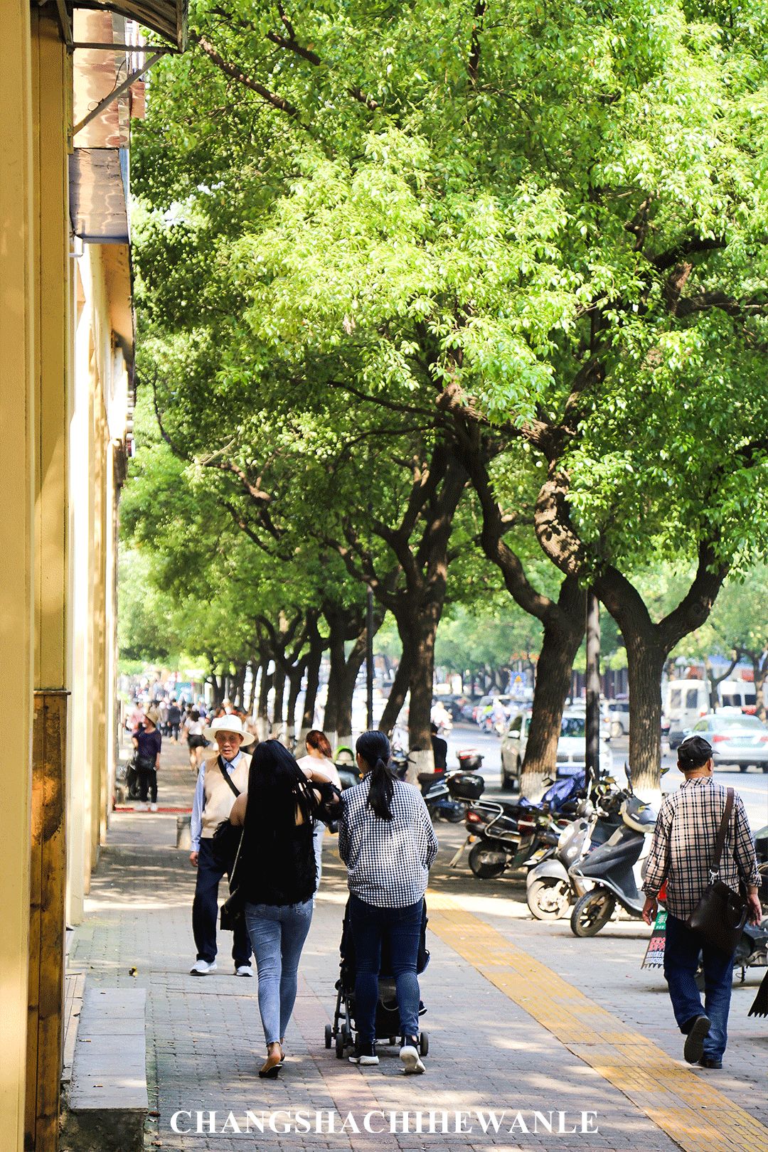长沙岳麓区适合一个人去的地方,五一长沙岳麓区哪里好玩