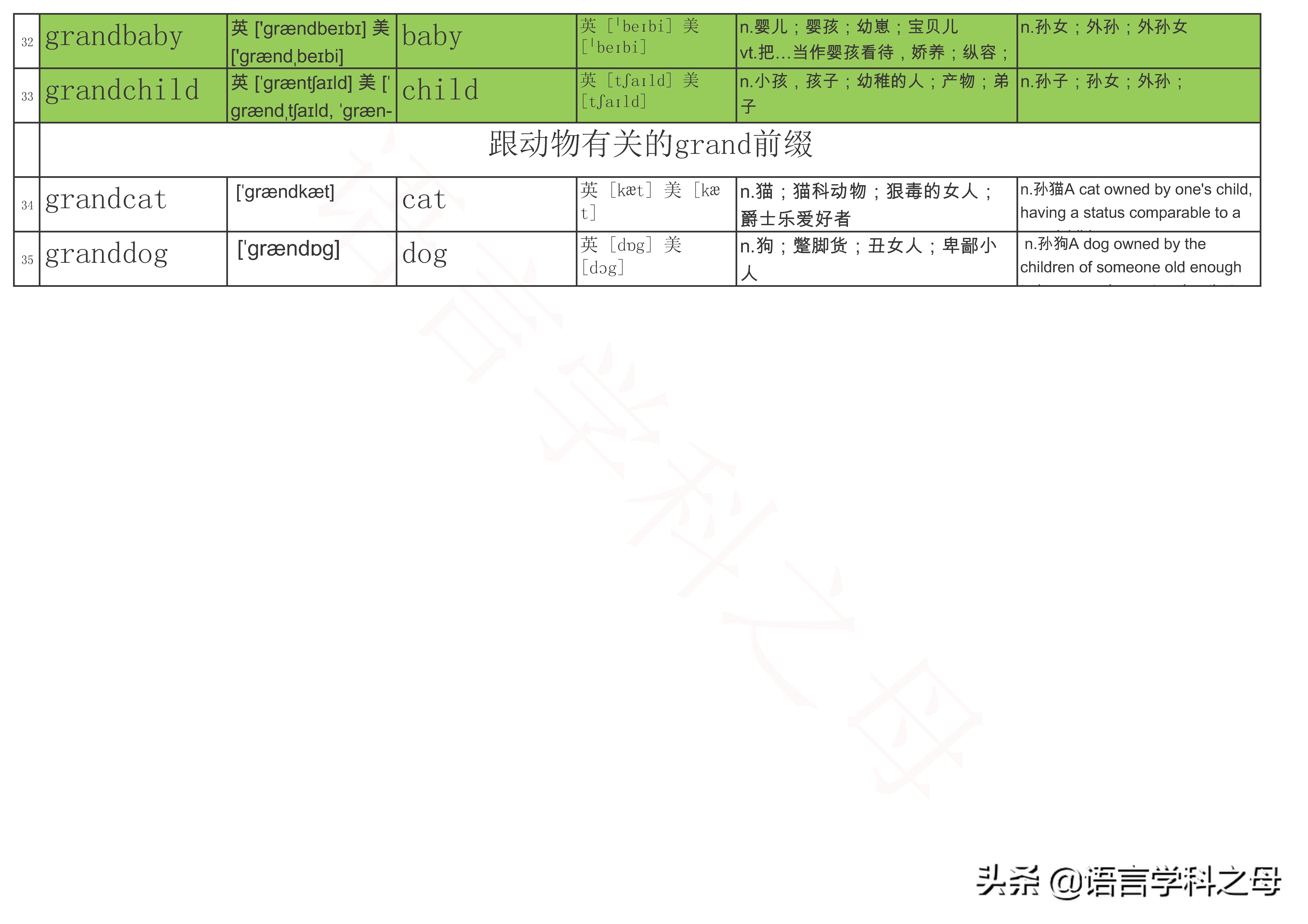grand作前缀的单词,grand为前缀的单词