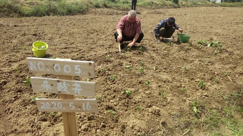 开心农场希月生态庄园,开心农场欢迎你的到来