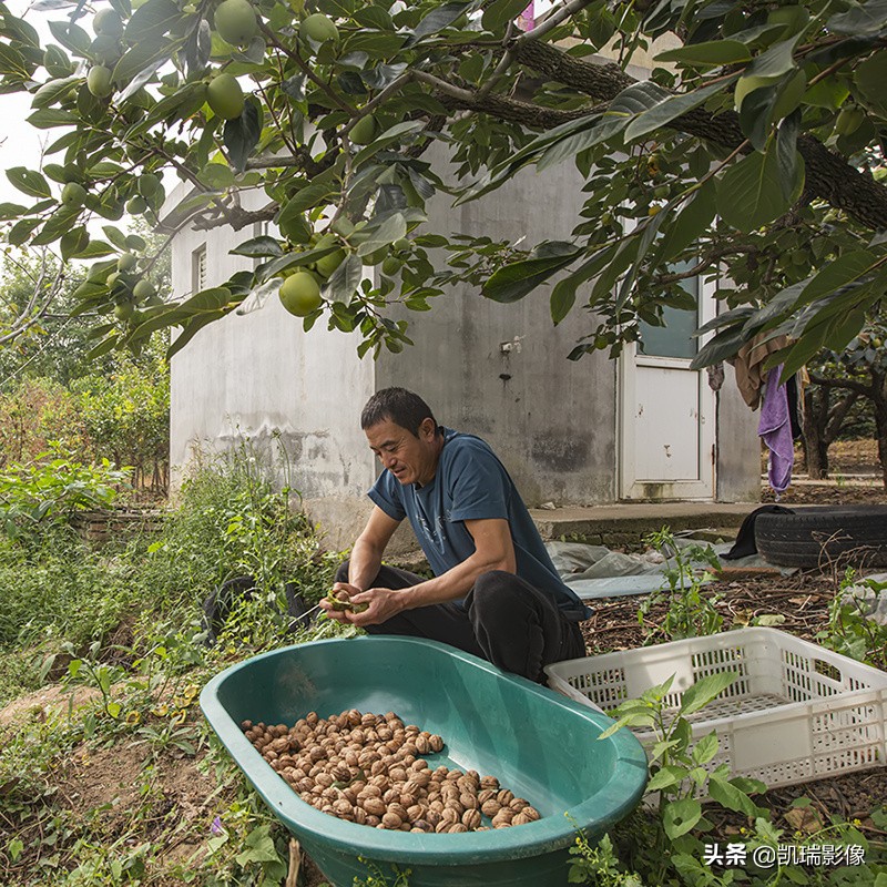 青岛的鹤山风景区好玩吗,青岛鹤山旅游景点大全