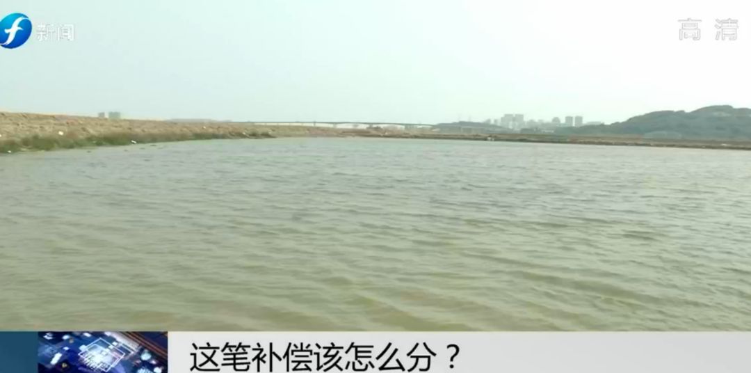 闹心|眼看快收成了,却遇上了麻烦事!这笔清退补偿究竟该怎么分?