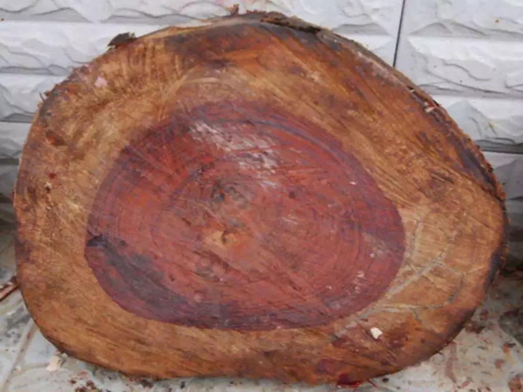 红木家具什么木材最好又不贵,红木家具木材价格排行