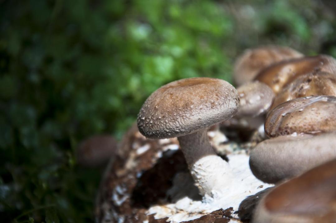 骞垮厓蹇箰椹跨珯鏃呮父鏀荤暐,鍘诲箍鍏冪殑鏀荤暐璺嚎鎺ㄨ崘