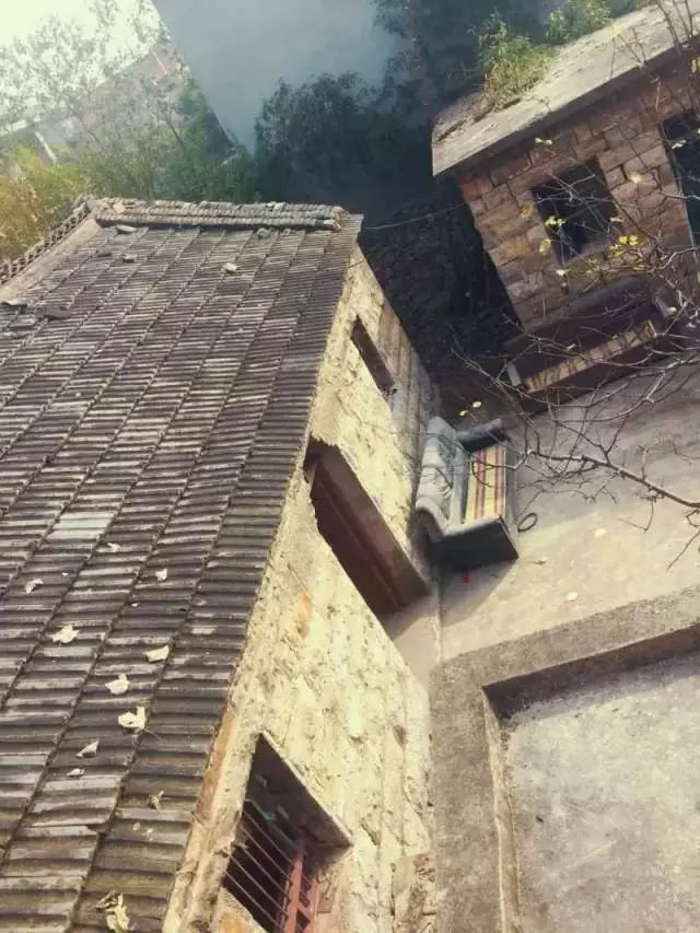 10000块能做点什么,10000块钱能做什么