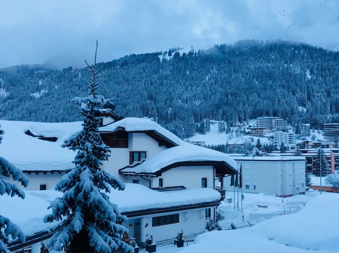 摩凡陀手表里的圆圈是什么,摩凡陀表盘