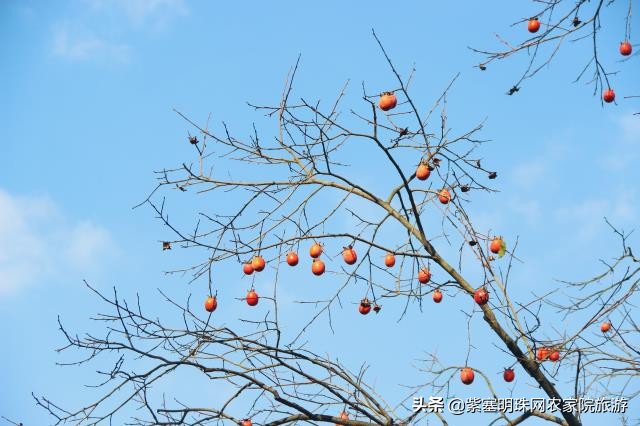 蓟县黄崖关长城夜游,蓟州黄崖关长城旅游攻略