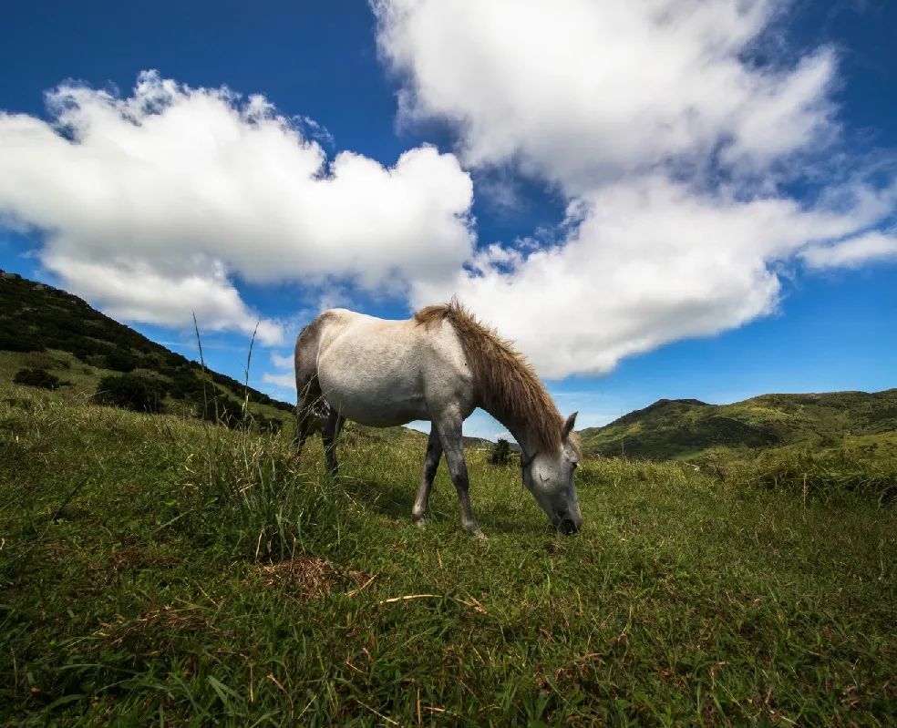 国家地理最美十大海岛,中国十大最美海岛有哪些