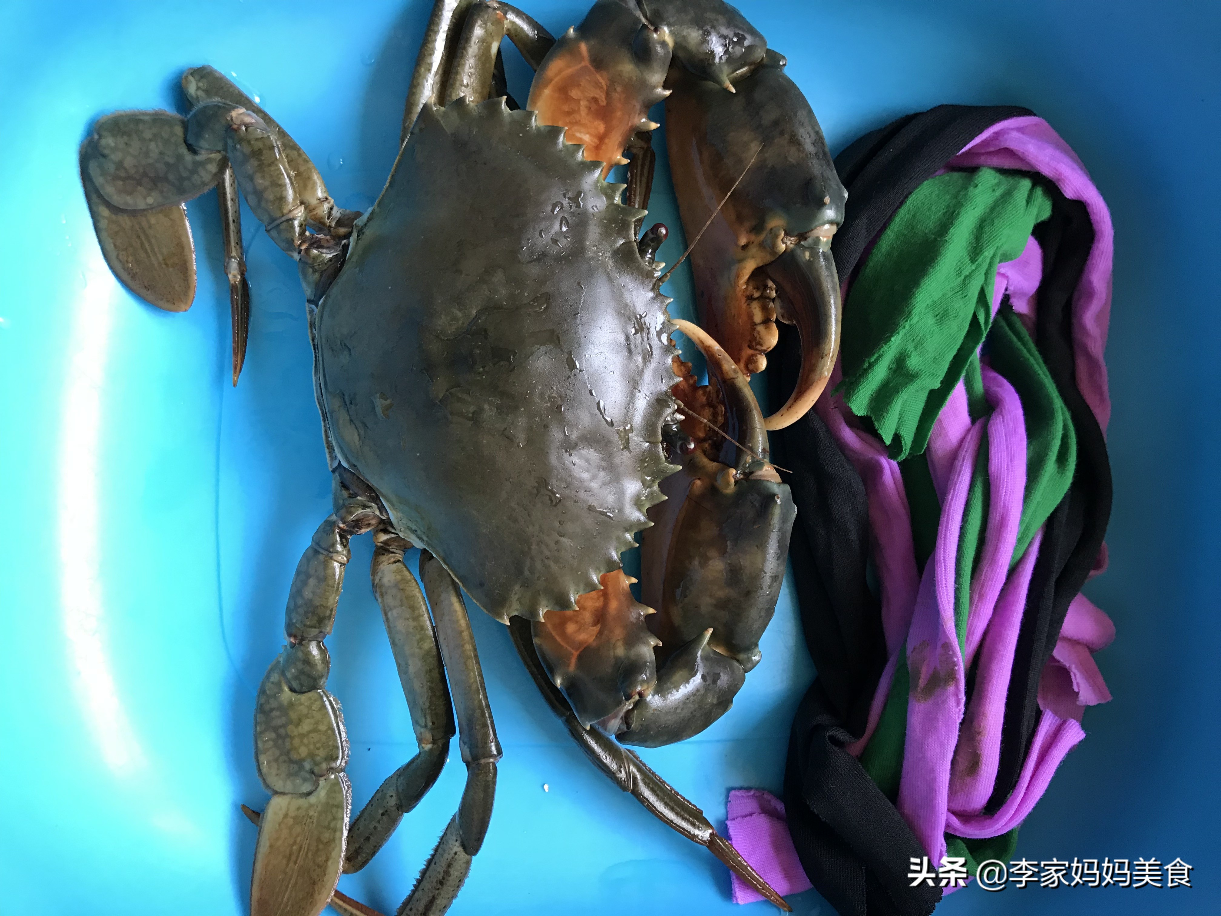 正宗舟山老渔民螃蟹做法,老蟹的做法大全视频