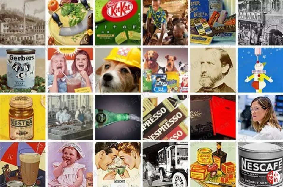 百年老店之雀巢,百年雀巢品质