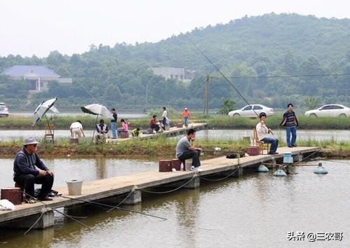 适合农村做的项目投资少见效快,农村适合做哪些创业小项目