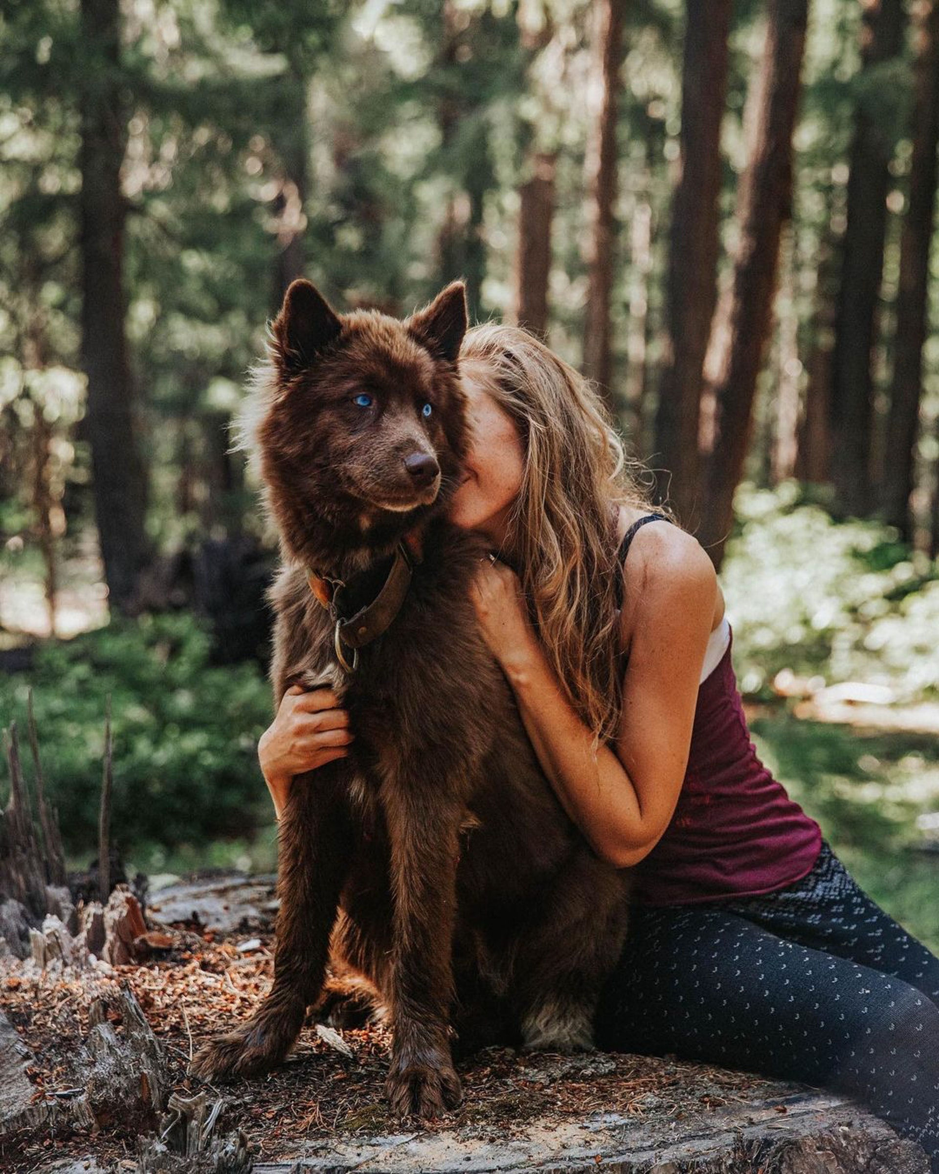小时候像熊长大后像狼，主人说狗狗是热门犬种，但路人都猜不出