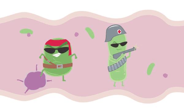 泡菜最健康食物,四川泡菜的营养保健价值