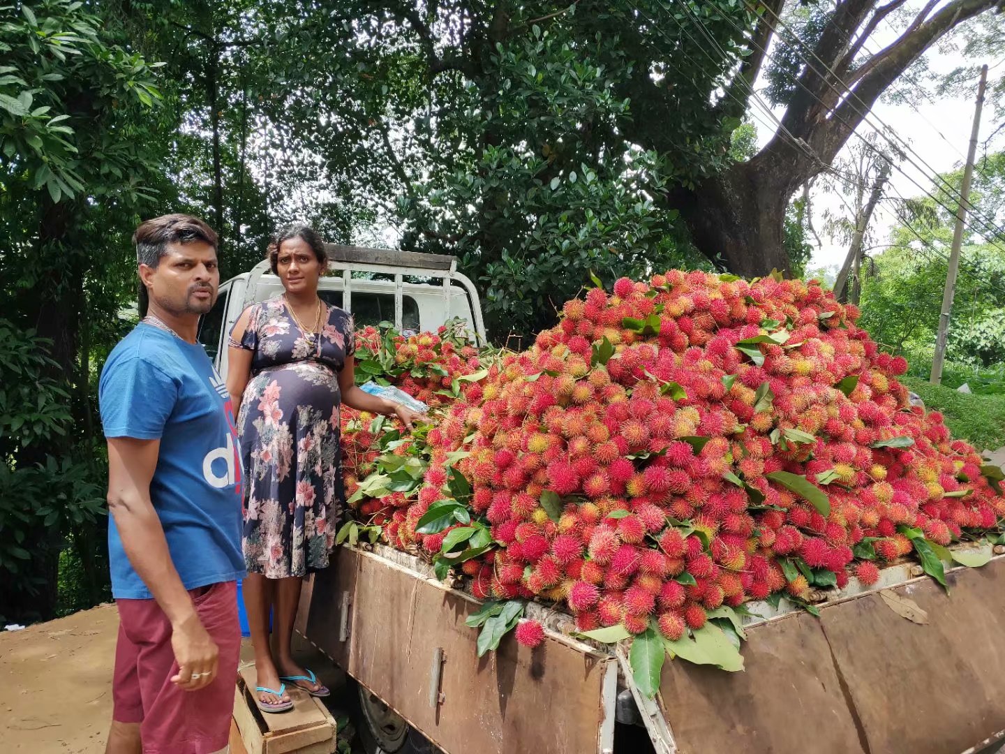 一生必去一次的神奇国度，榴莲白菜价，还有千与千寻里的海上火车