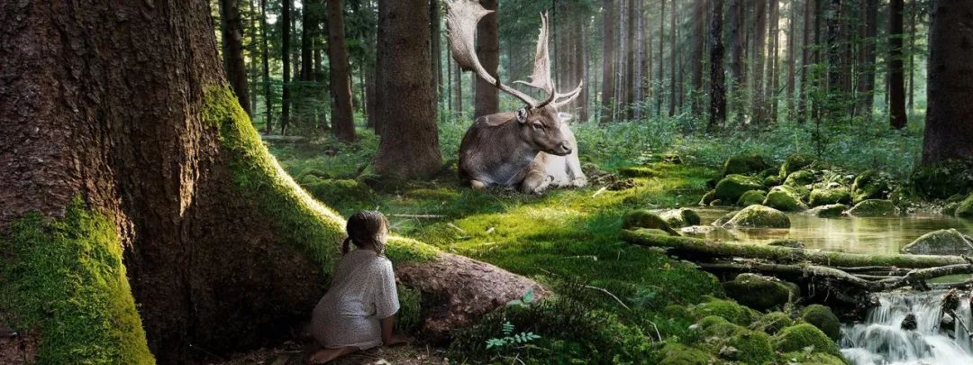 拒绝权臣求爱的她遭到出卖，为了祖国不得不忍辱求生33