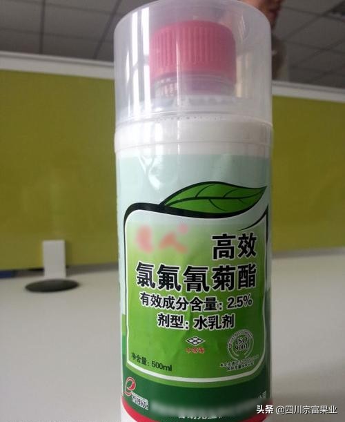 梨树上出现黄色层是什么病,梨树树干出现黄色层是什么病