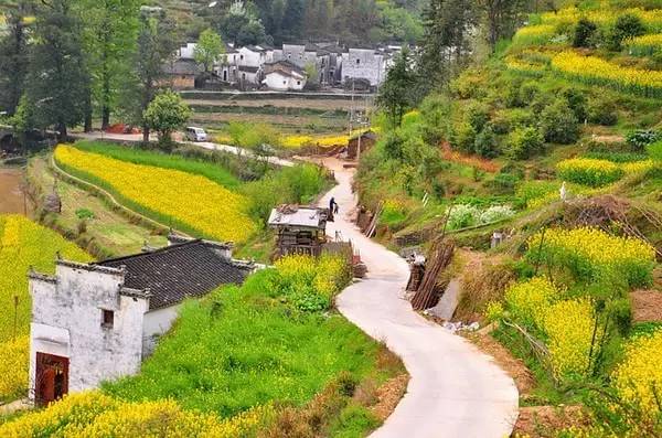 戴口罩的冬天太漫长，差点忘了中国的春天有多美