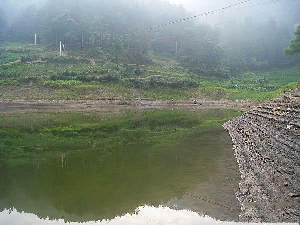 钓了这么多年鱼,有人钓到100多斤的大鳄龟