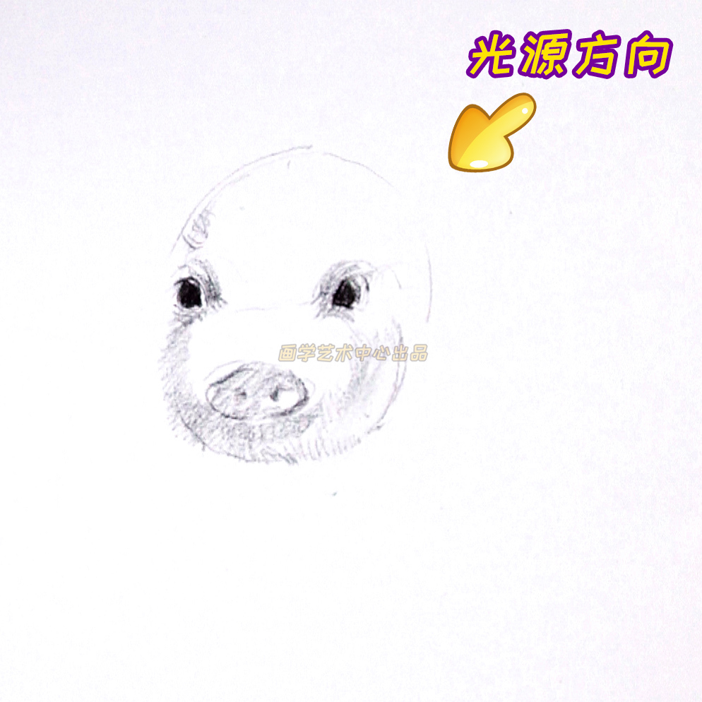 简单小猪绘画教程,用数字勾画出可爱的小猪