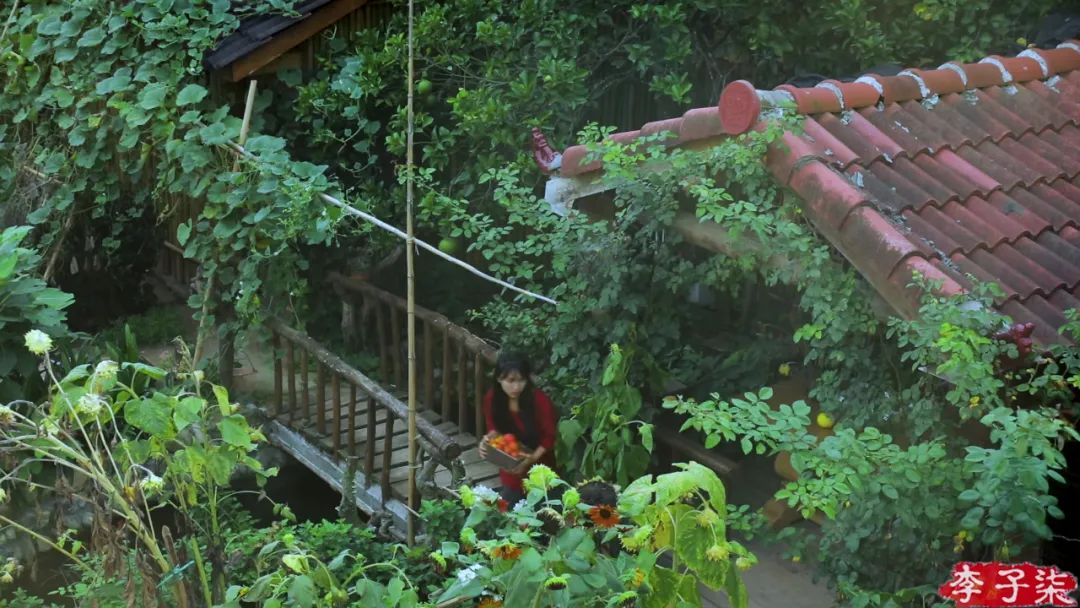 李子柒视频转场技巧,李子柒拍摄视频技巧