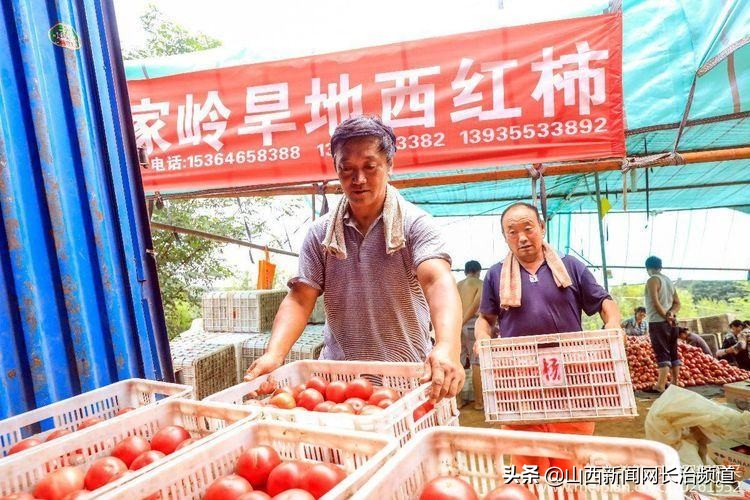 鎴戜滑韬竟鐨勬柊闂绘湁鍝簺,鎴戜滑韬竟鐨勪簩闈掍細灞辫タ