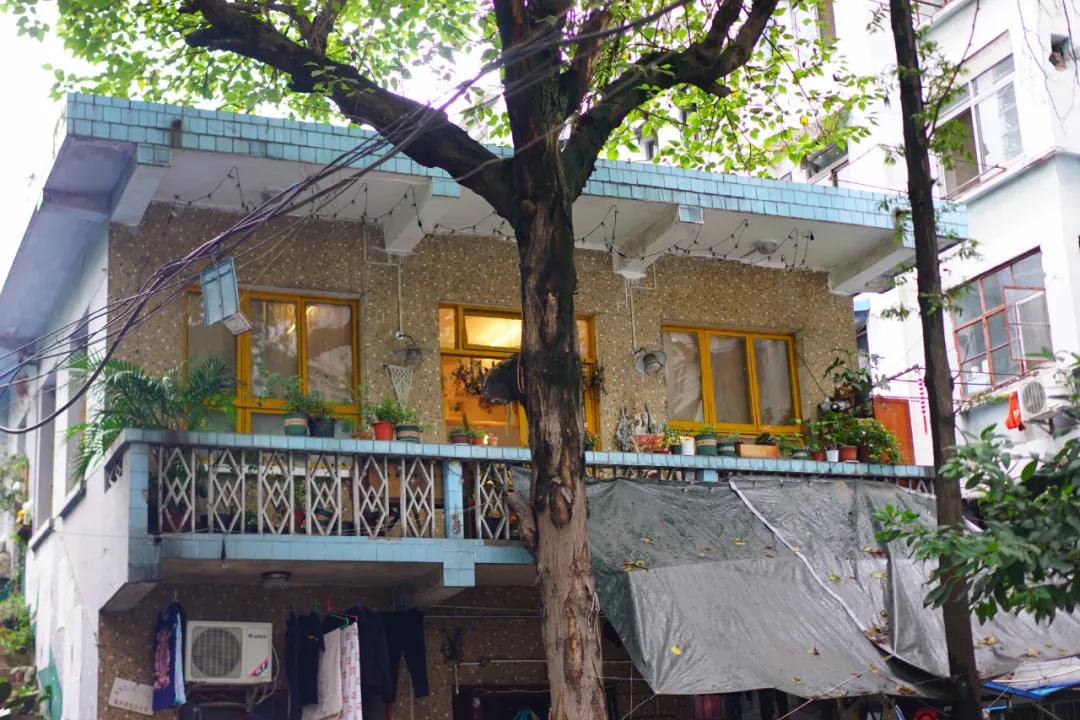 成都两个小姑娘开的老房子花艺杂货铺，外地游客不远千里专程打卡