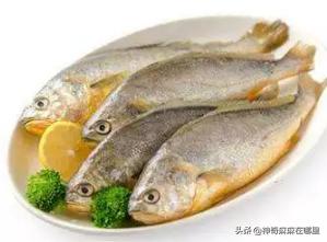 什么鱼dha含量高适合小孩子吃,给孩子吃dha含量高的鱼有哪些