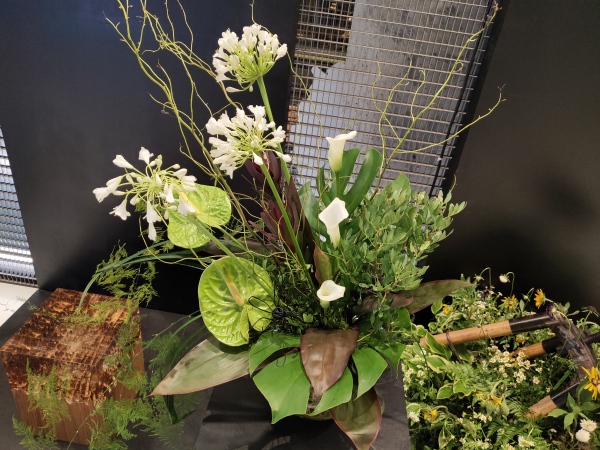 深圳免费花艺展,深圳花艺展