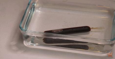 酱油清肠,避孕药洗头,这些自杀式养生为什么总有人信?