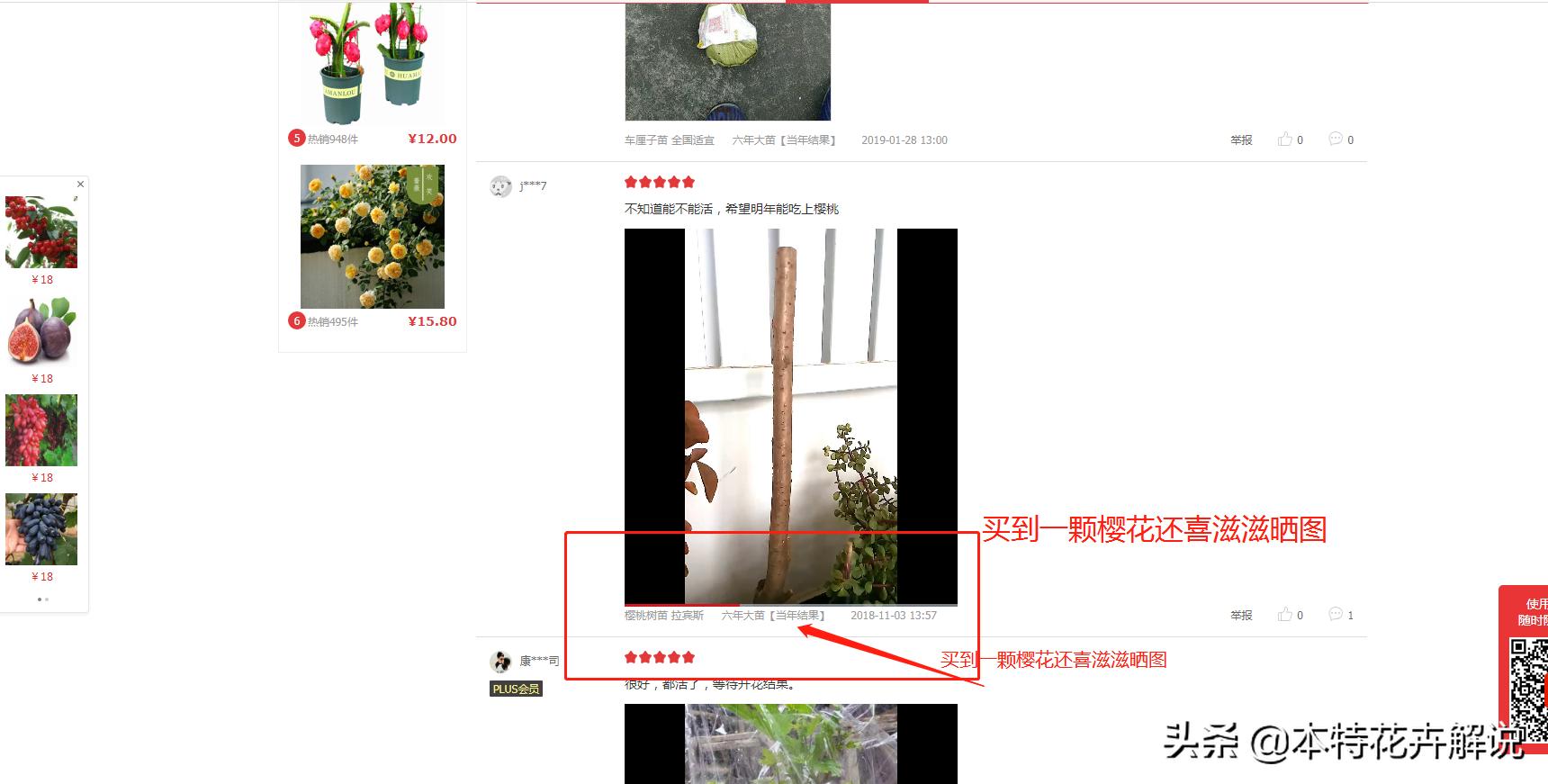 网上的假果树苗,网上怎么老是买到假树苗