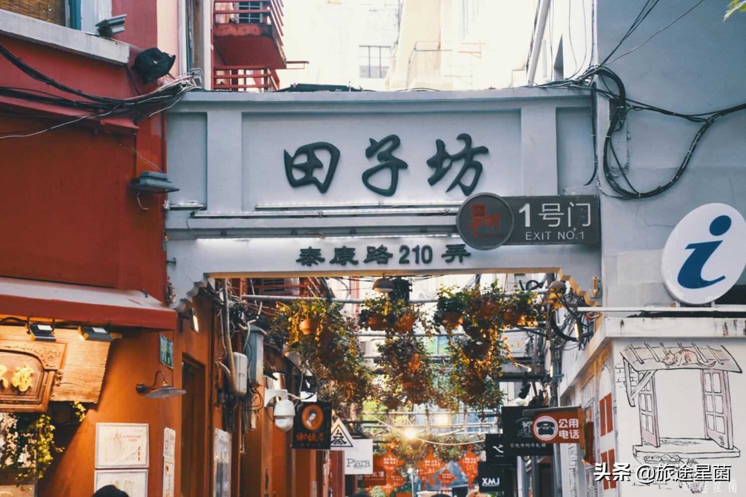 上海暑期最热门景点,上海最热门旅游景点