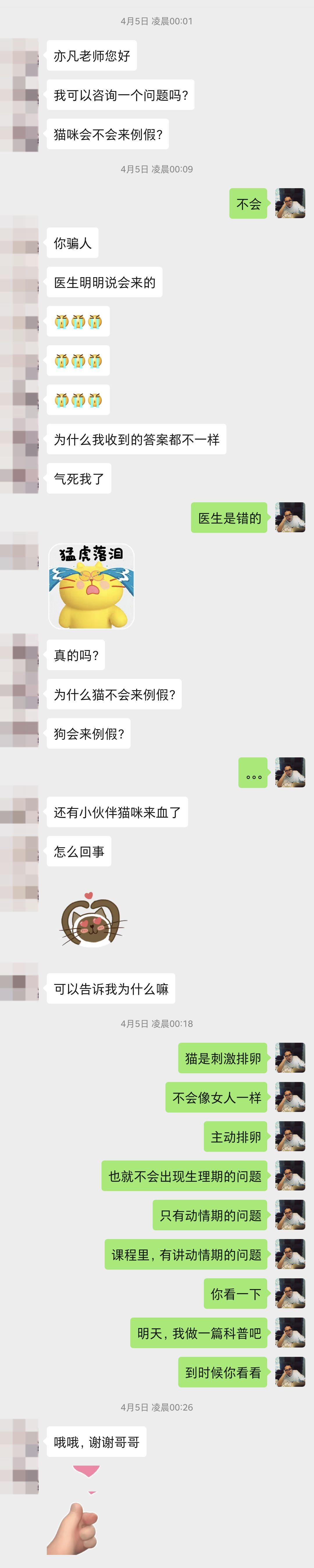 母猫为什么不会来大姨妈,为啥母猫不会来姨妈