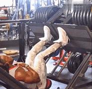 练腿只有酸痛了才会促睾吗,练腿会提升睾酮吗