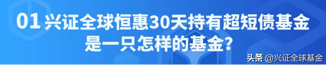 兴证全球优选稳健六个月持有债券,兴证全球恒惠30天持有期超短债c