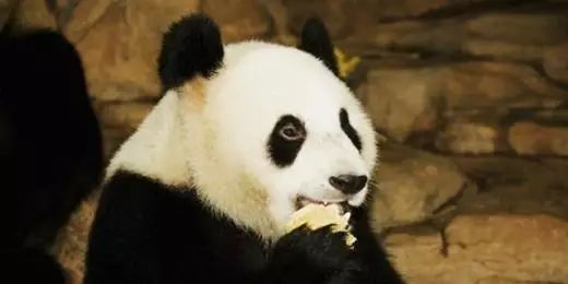 黑眼圈警惕严重疾病,黑眼圈是肝炎的前兆