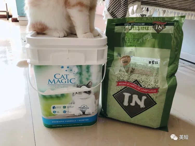 养猫干货整理,养猫必备清单之猫零食