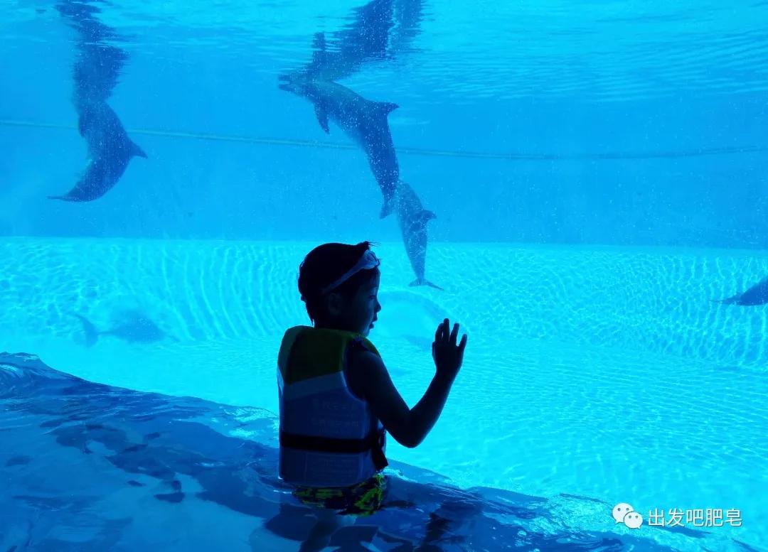 玩转珠海长隆全攻略,玩转珠海长隆海洋王国全攻略