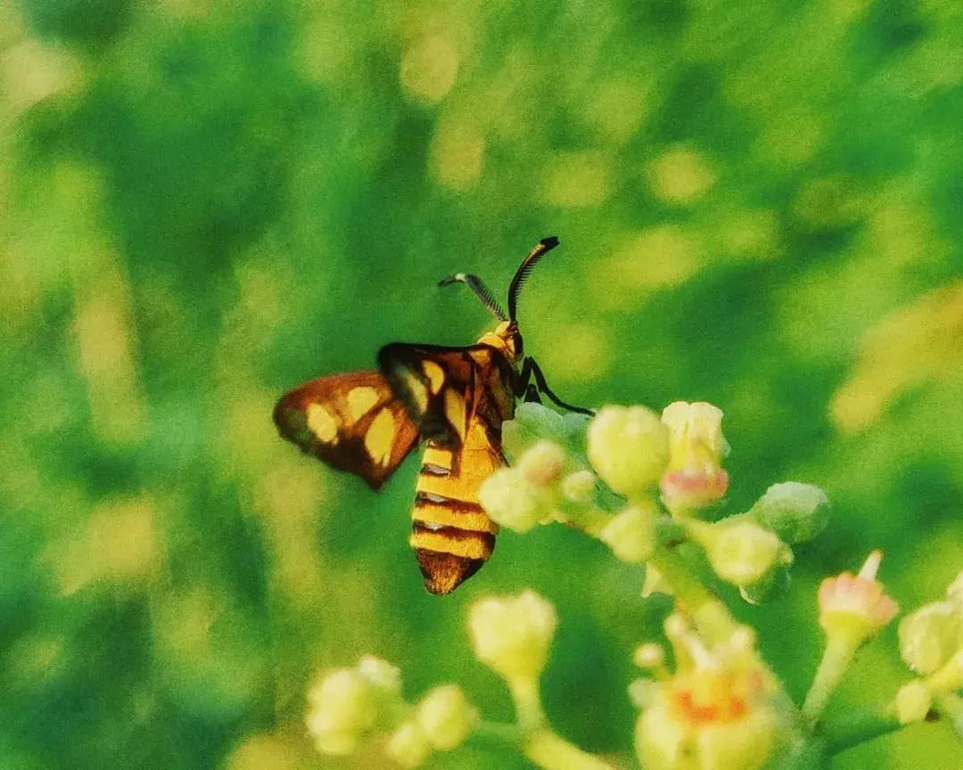 手机拍出的美照,原来用手机就能拍出这么美的照片